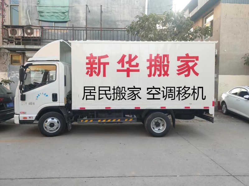 水牛搬家，一场自然与智慧的较量！
